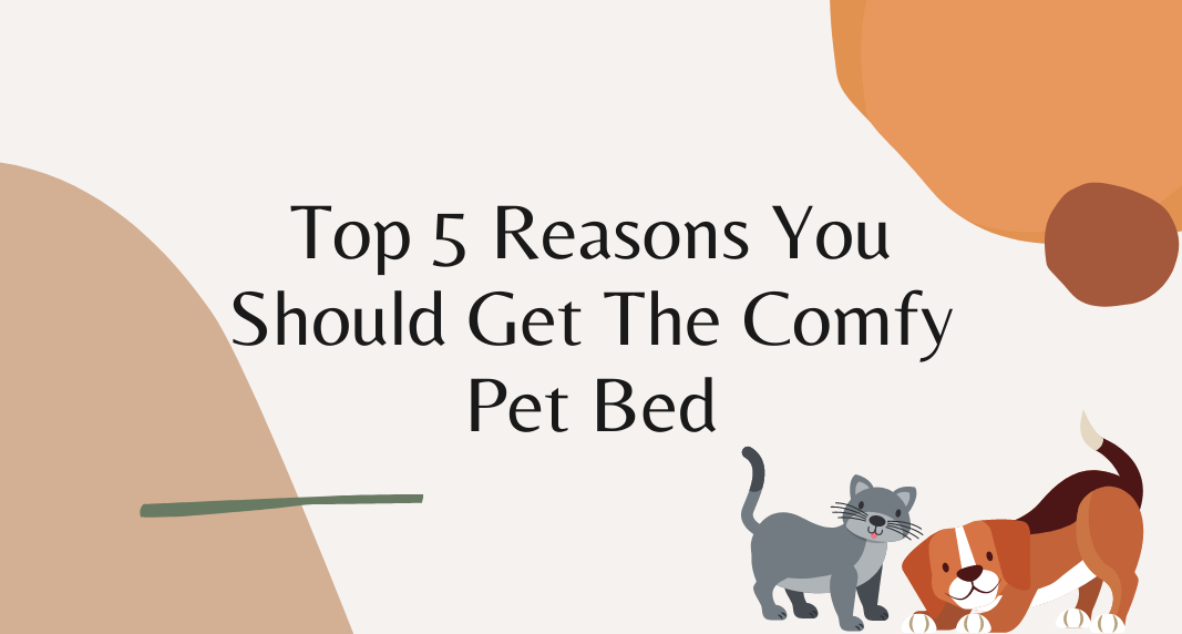 Top 5 Reasons You Should Get The Comfy Pet Bed