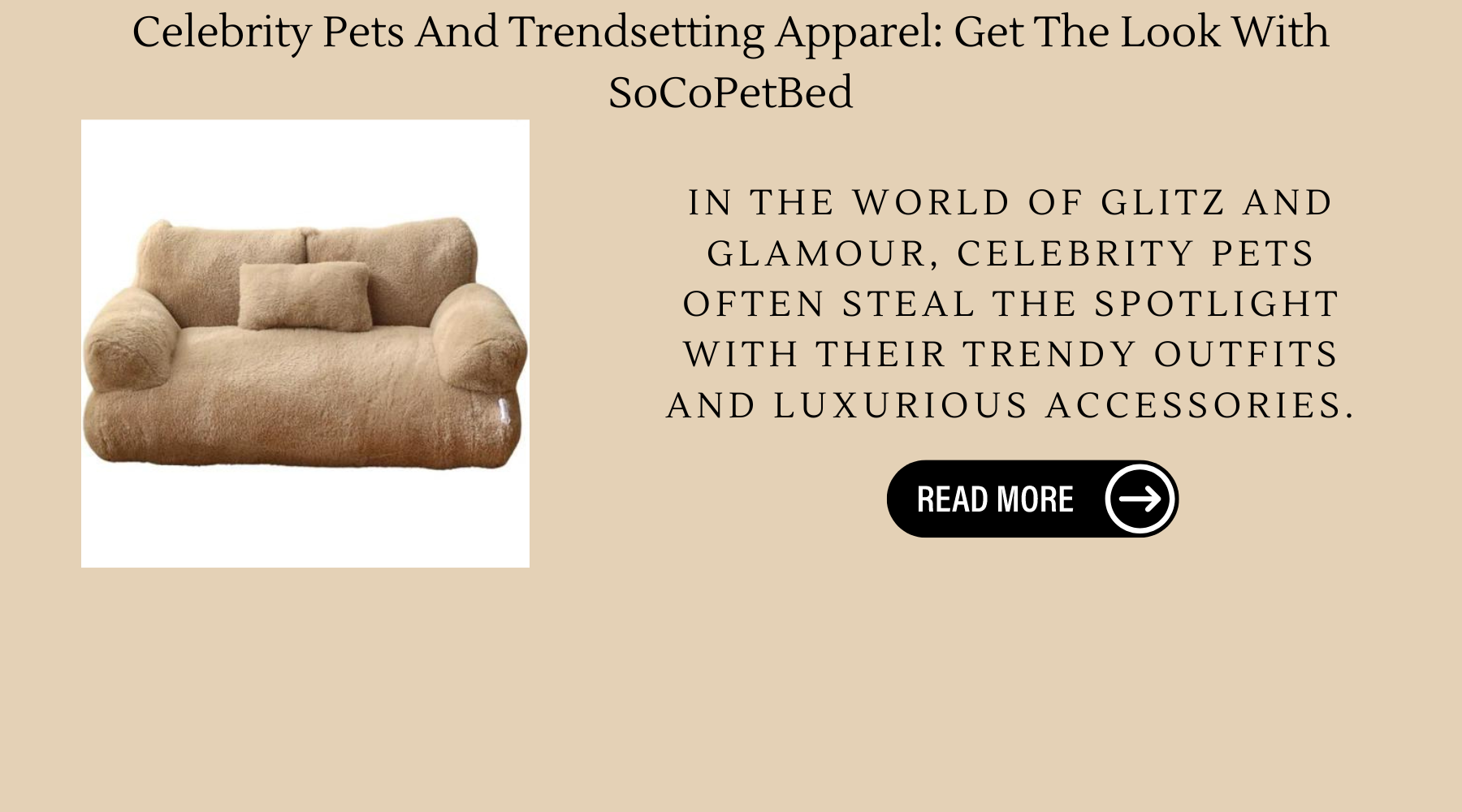 Celebrity Pets And Trendsetting Apparel: Get The Look With SoCoPetBed