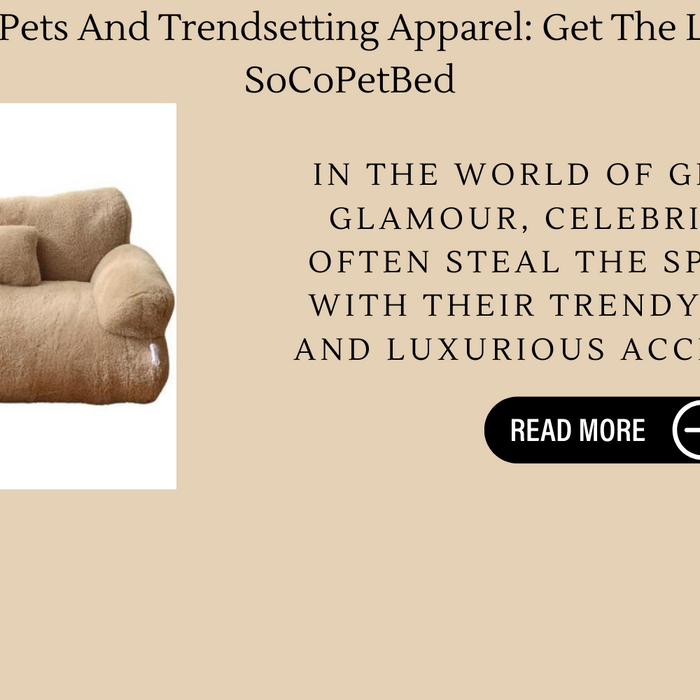 Celebrity Pets And Trendsetting Apparel: Get The Look With SoCoPetBed