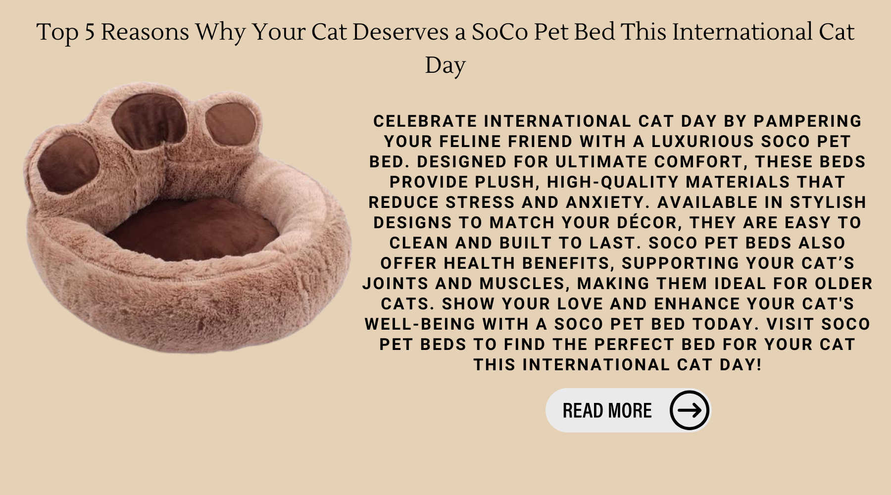 Top 5 Reasons Why Your Cat Deserves a SoCo Pet Bed This International Cat Day