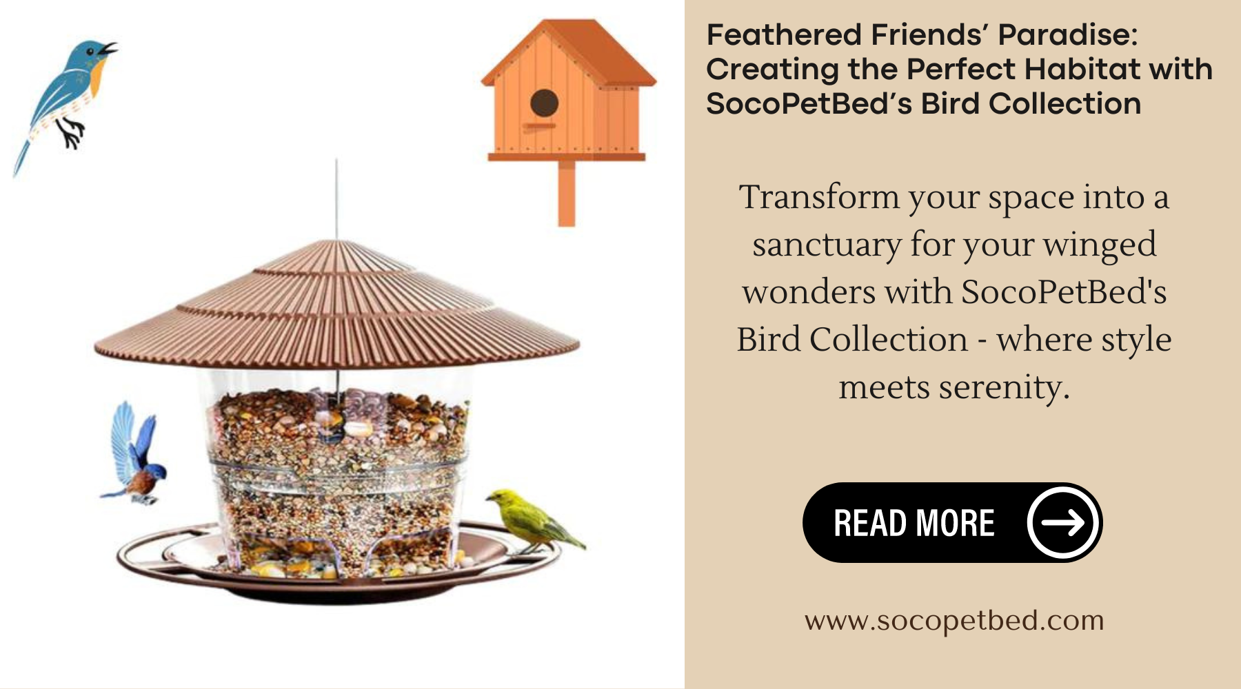 Feathered Friends’ Paradise: Creating the Perfect Habitat with SocoPetBed’s Bird Collection