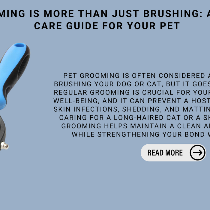 Why Grooming Is More Than Just Brushing: A Complete Care Guide For Your Pet