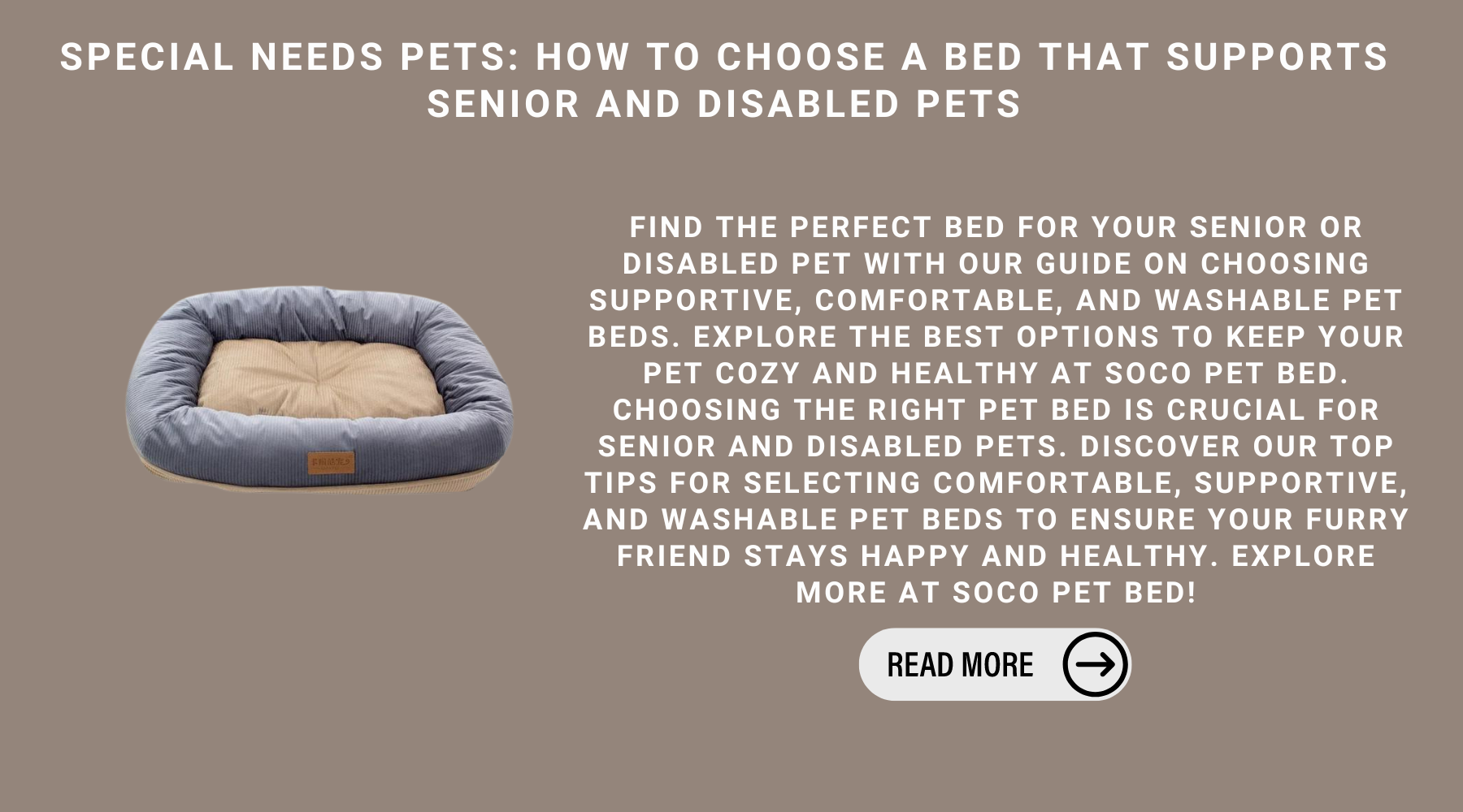 Special Needs Pets: How To Choose A Bed That Supports Senior And Disabled Pets