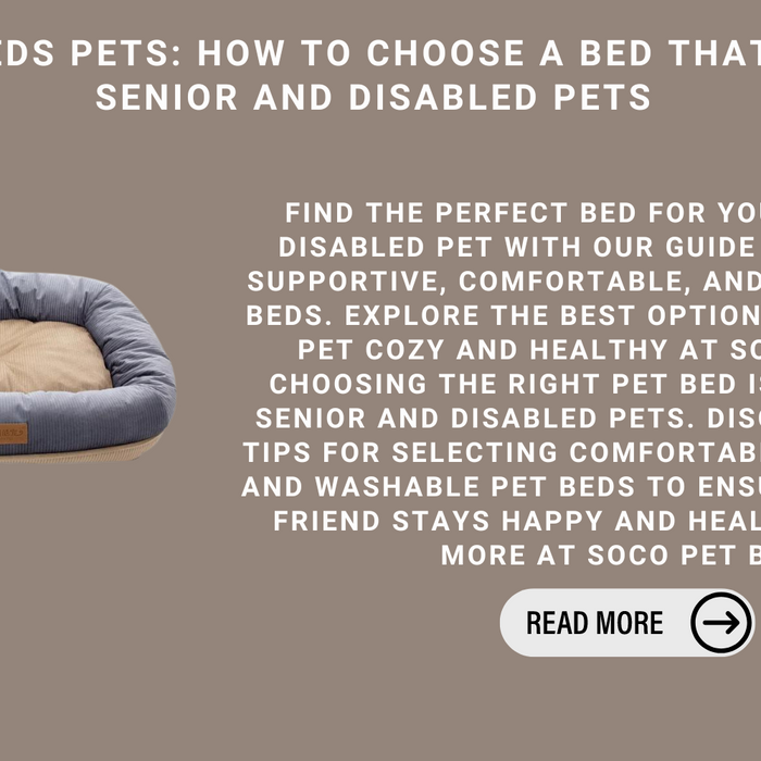 Special Needs Pets: How To Choose A Bed That Supports Senior And Disabled Pets