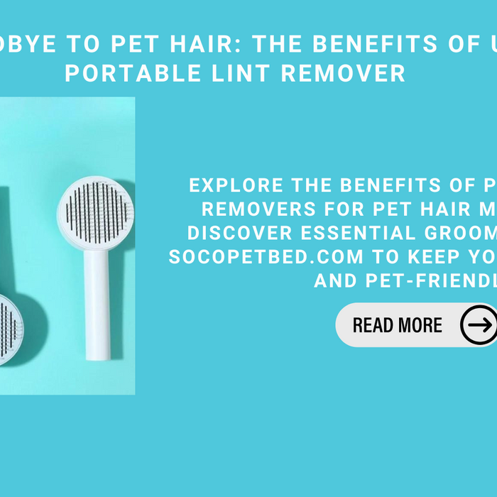 Say Goodbye To Pet Hair: The Benefits Of Using A Portable Lint Remover