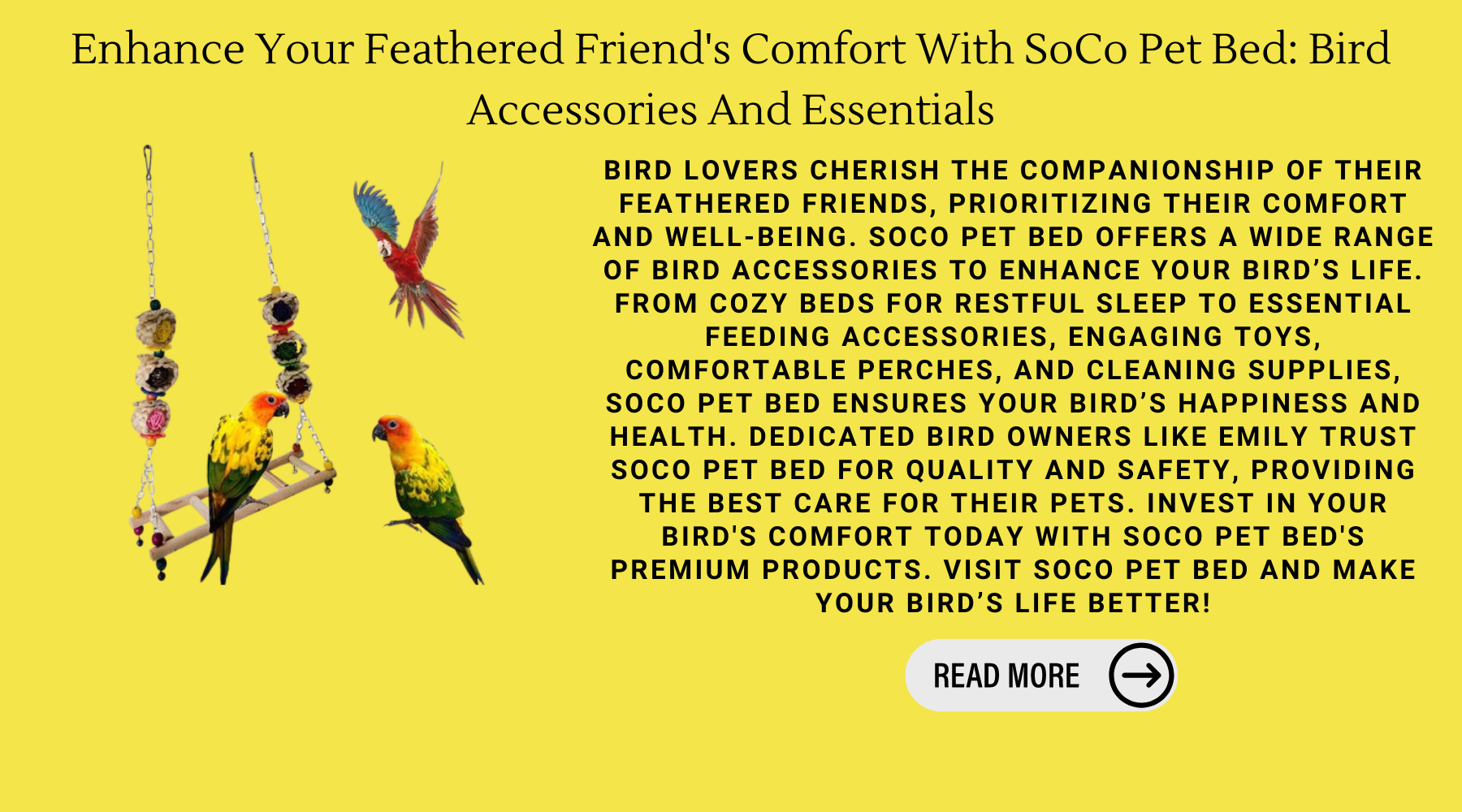 Enhance Your Feathered Friend's Comfort With SoCo Pet Bed: Bird Accessories And Essentials