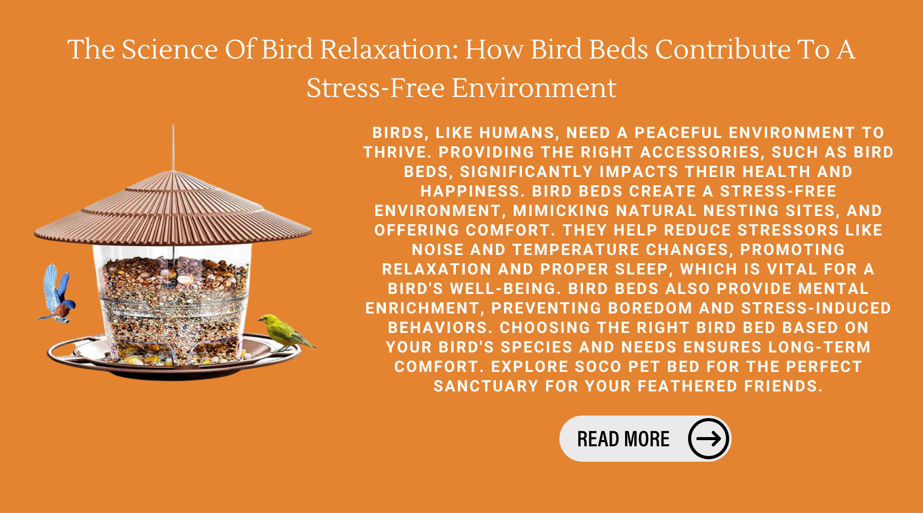 The Science Of Bird Relaxation: How Bird Beds Contribute To A Stress-Free Environment