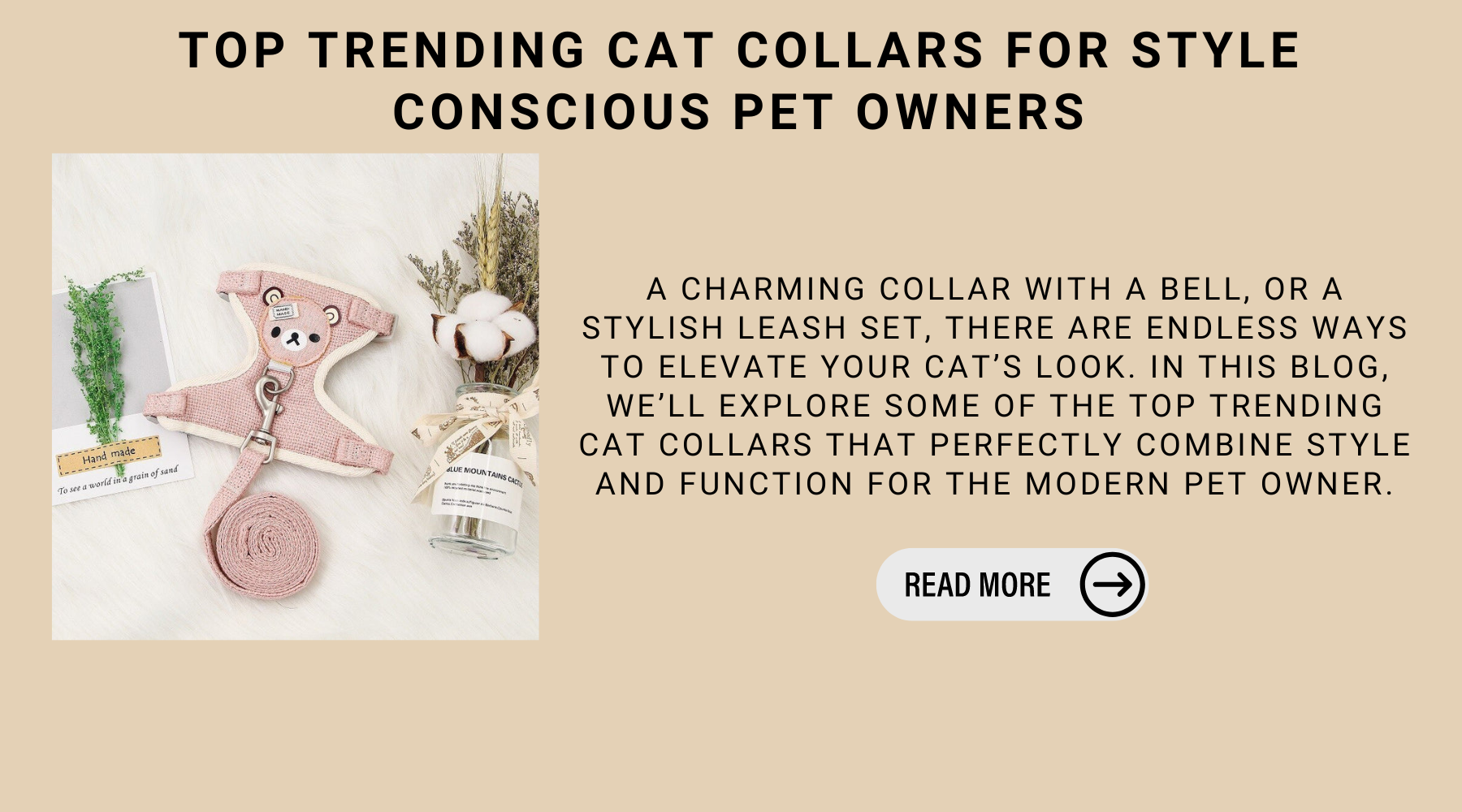 Top Trending Cat Collars For Style Conscious Pet Owners