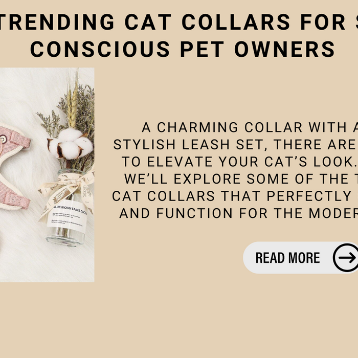 Top Trending Cat Collars For Style Conscious Pet Owners