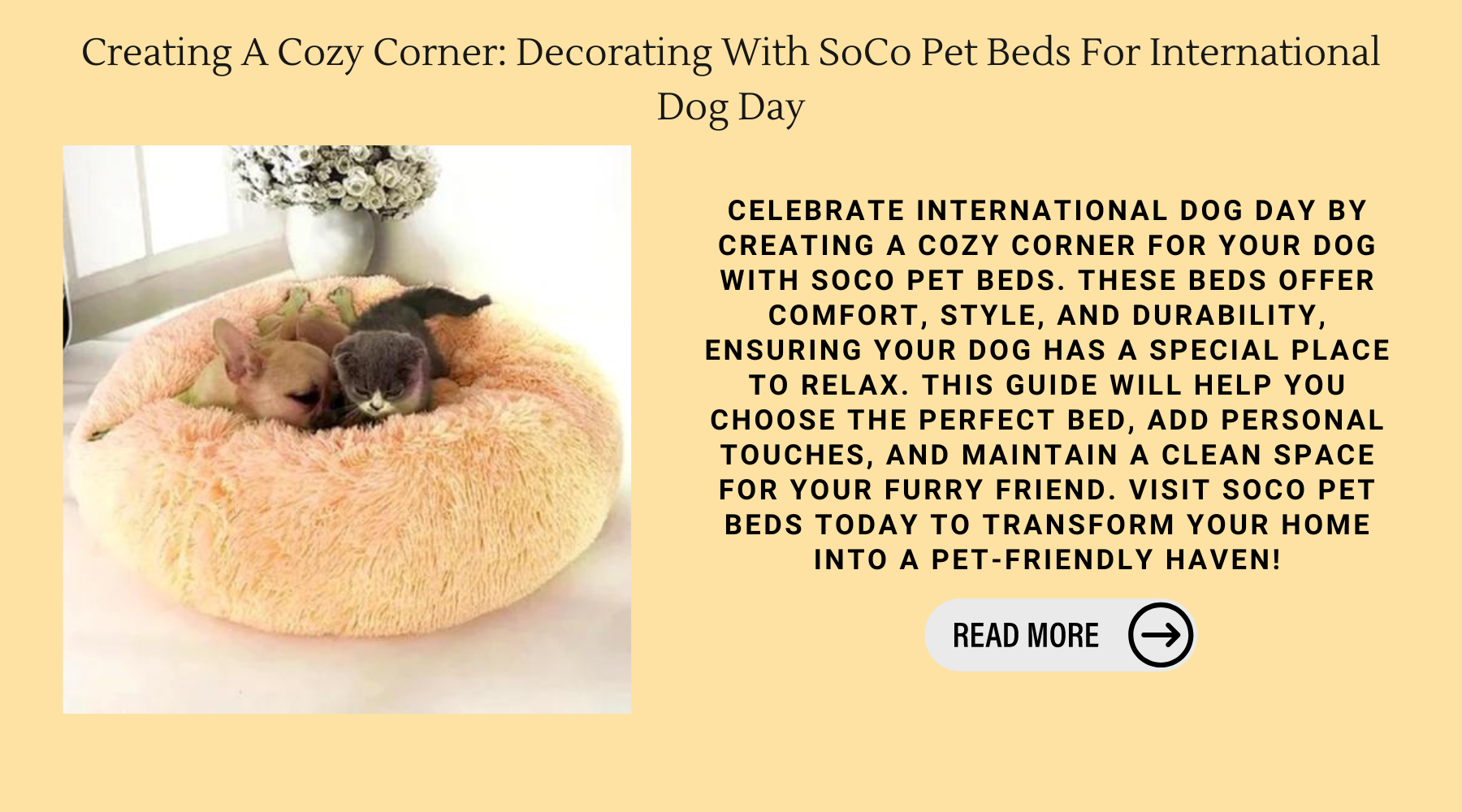 Creating A Cozy Corner: Decorating With SoCo Pet Beds For International Dog Day