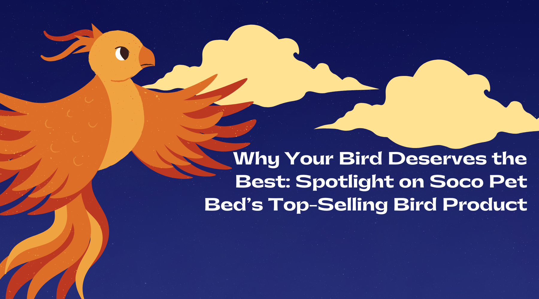 Why Your Bird Deserves the Best: Spotlight on Soco Pet Bed’s Top-Selling Bird Products