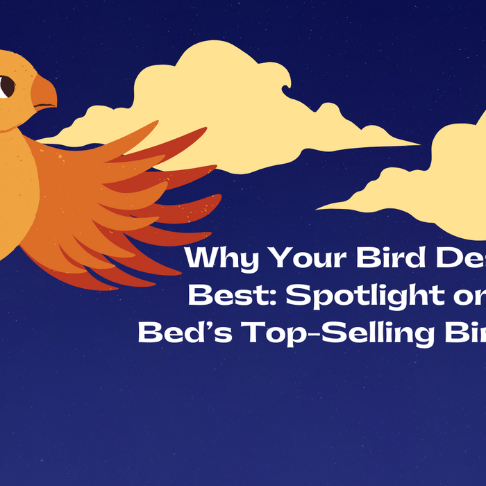 Why Your Bird Deserves the Best: Spotlight on Soco Pet Bed’s Top-Selling Bird Products