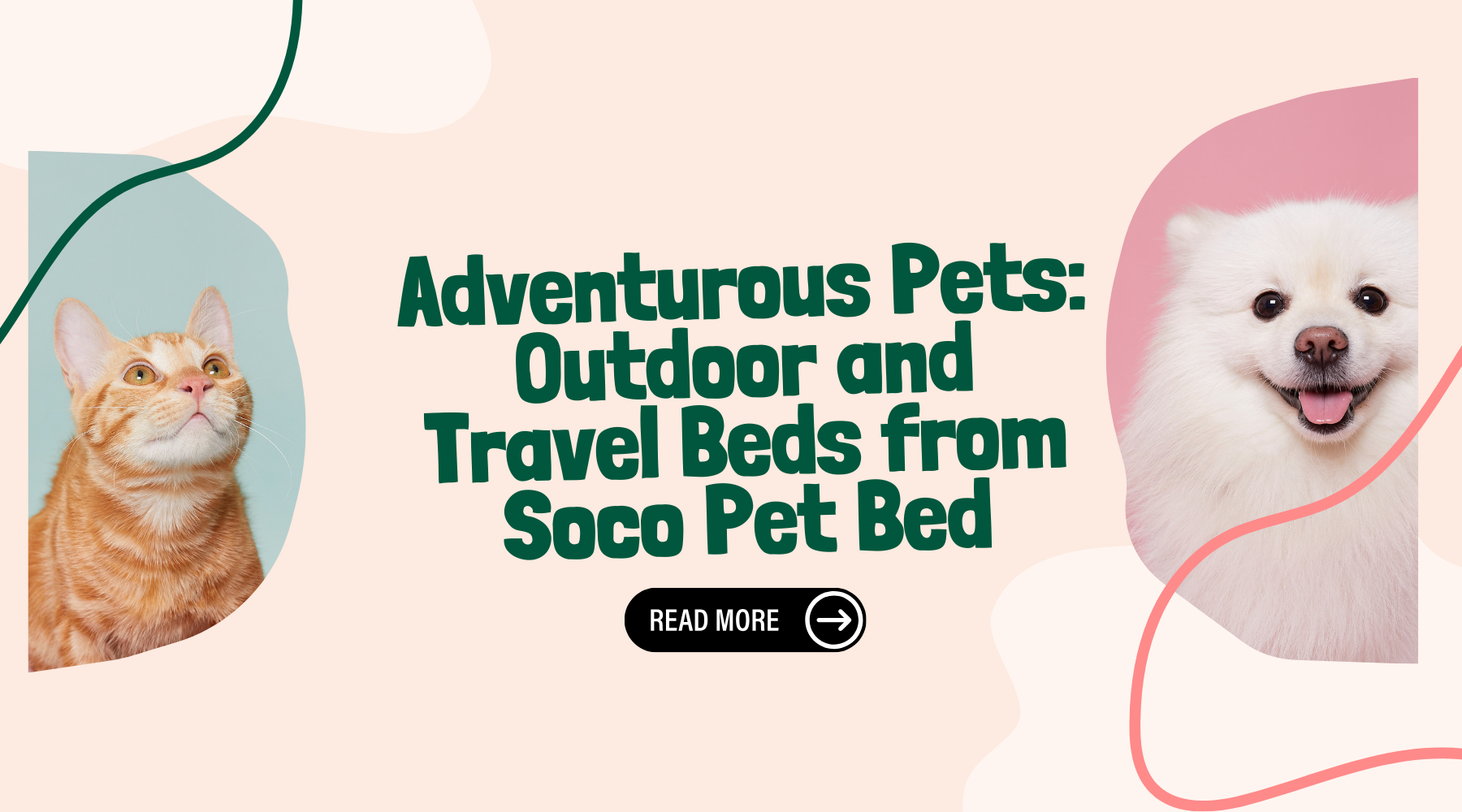 Adventurous Pets: Outdoor and Travel Beds from Soco Pet Bed