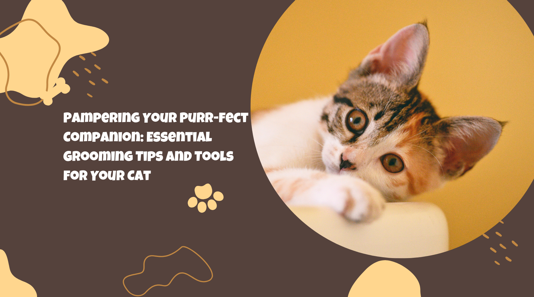 Pampering Your Purr-fect Companion: Essential Grooming Tips and Tools for Your Cat