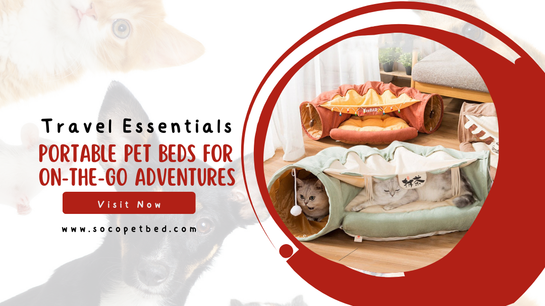 Portable Pet Beds