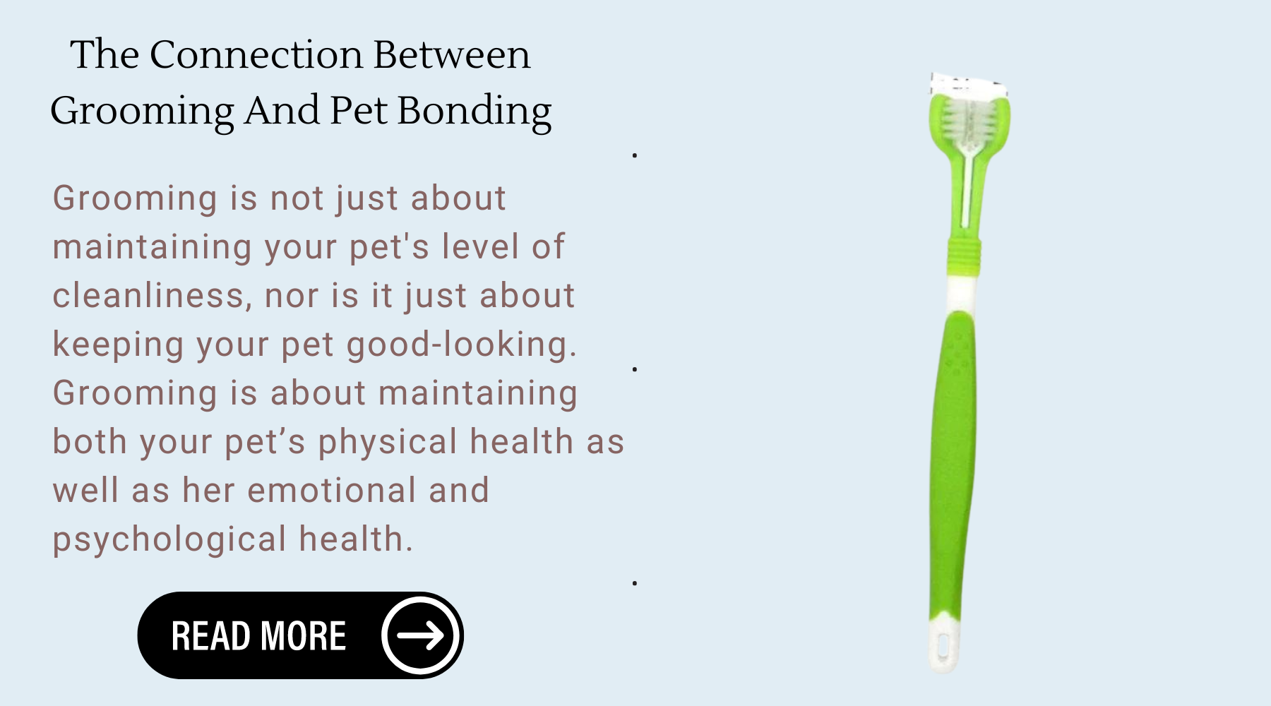 The Connection Between Grooming And Pet Bonding