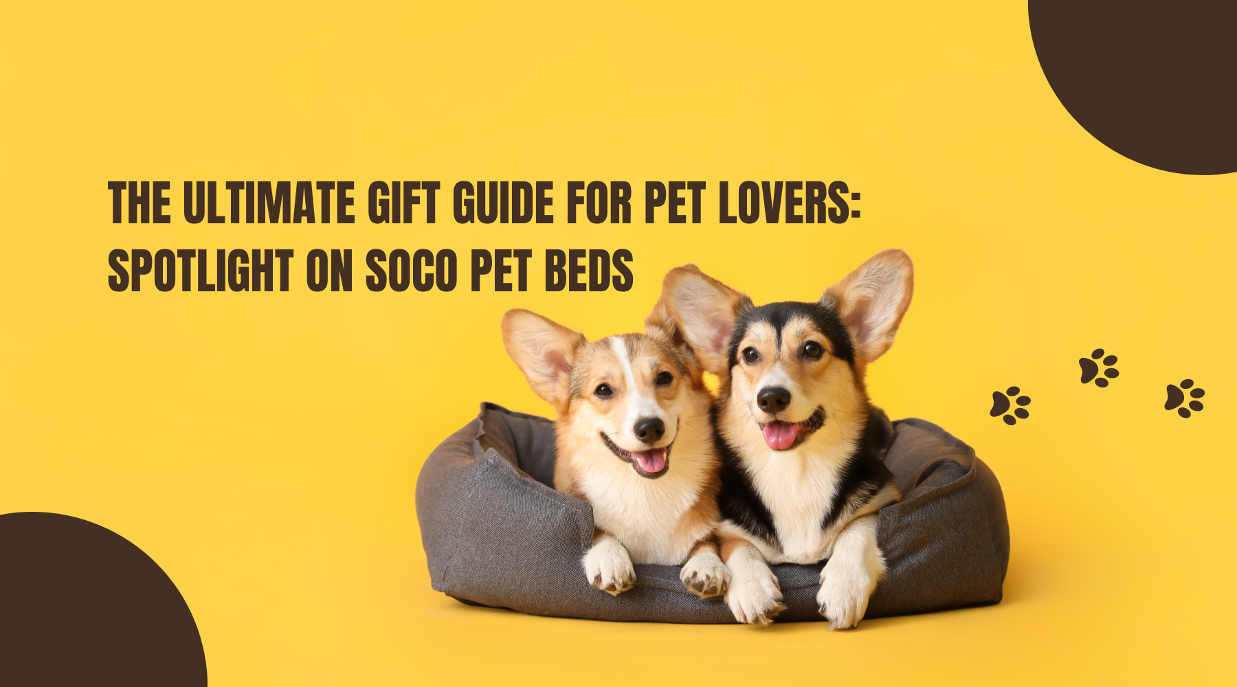 The Ultimate Gift Guide for Pet Lovers: Spotlight on Soco Pet Beds