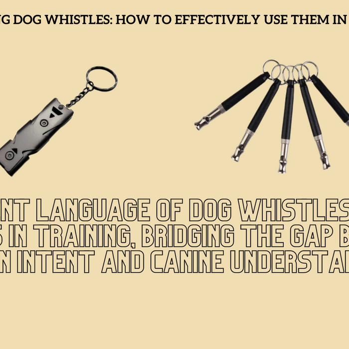 Understanding Dog Whistles: How to Effectively Use Them in Training