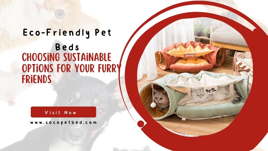 Eco-Friendly Pet Beds: Choosing Sustainable Options for Your Furry Friends