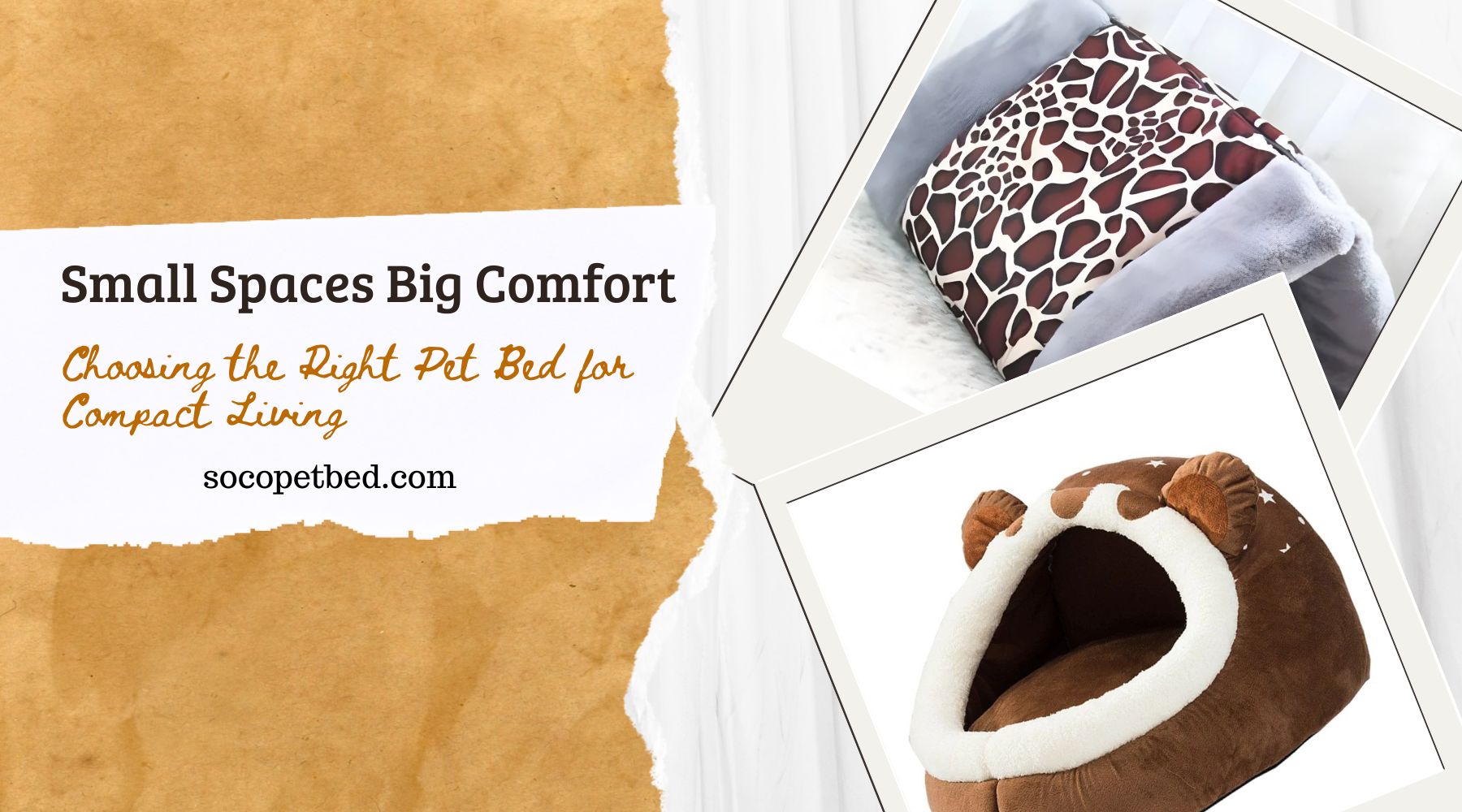 Small Spaces Big Comfort: Choosing the Right Pet Bed for Compact Living