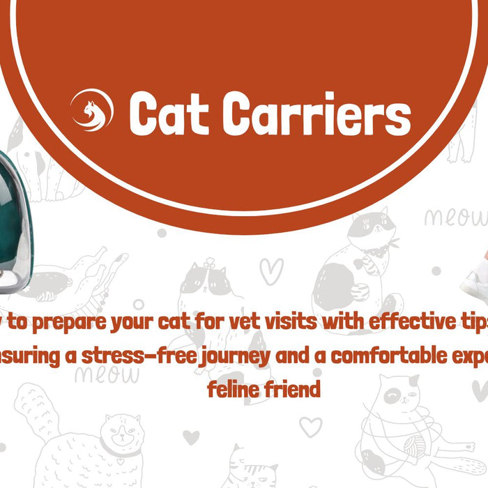 Preparing Your Cat For Vet Visits Tips For Using Cat Carriers Effectively