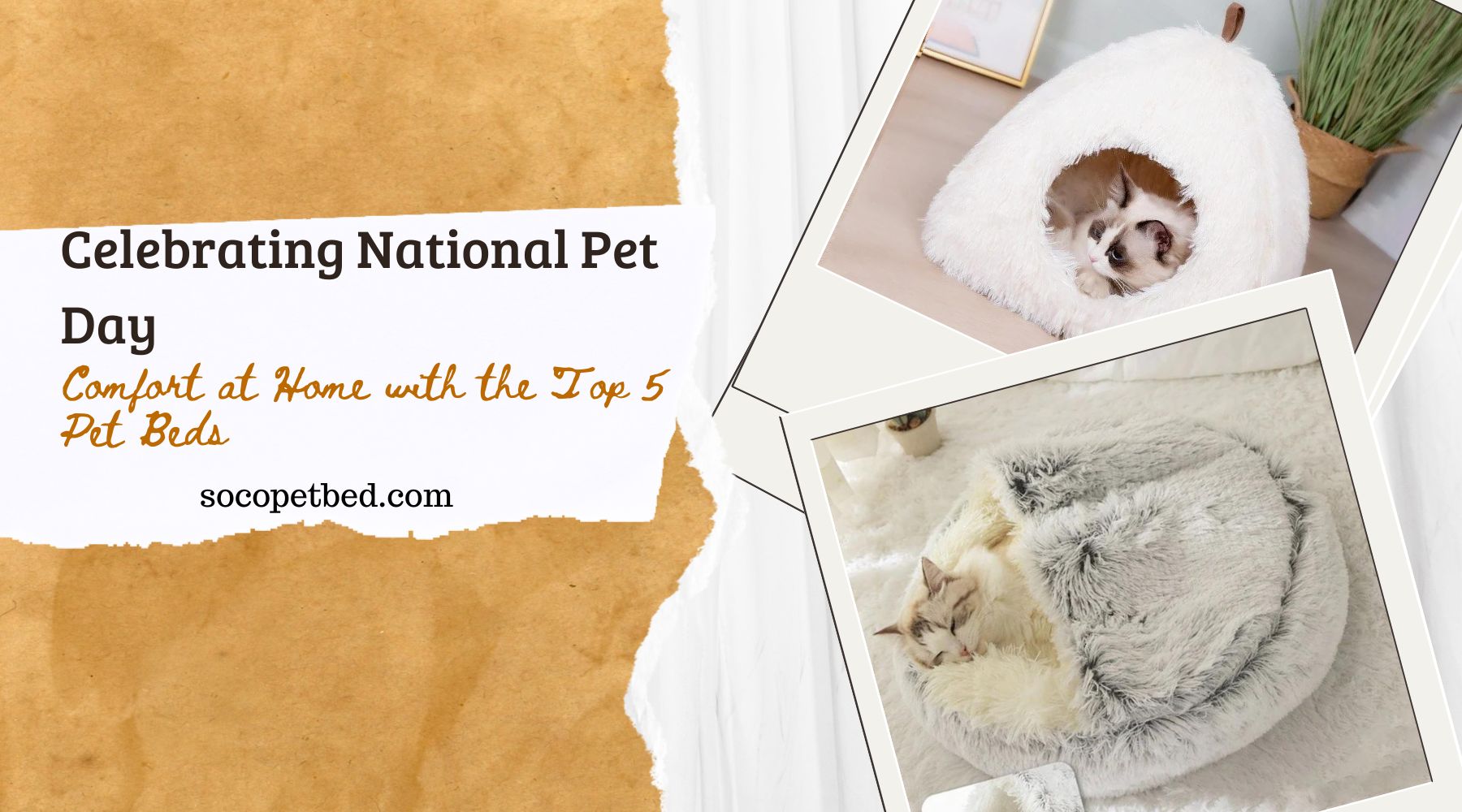Celebrating National Pet Day: Comfort at Home with the Top 5 Pet Beds