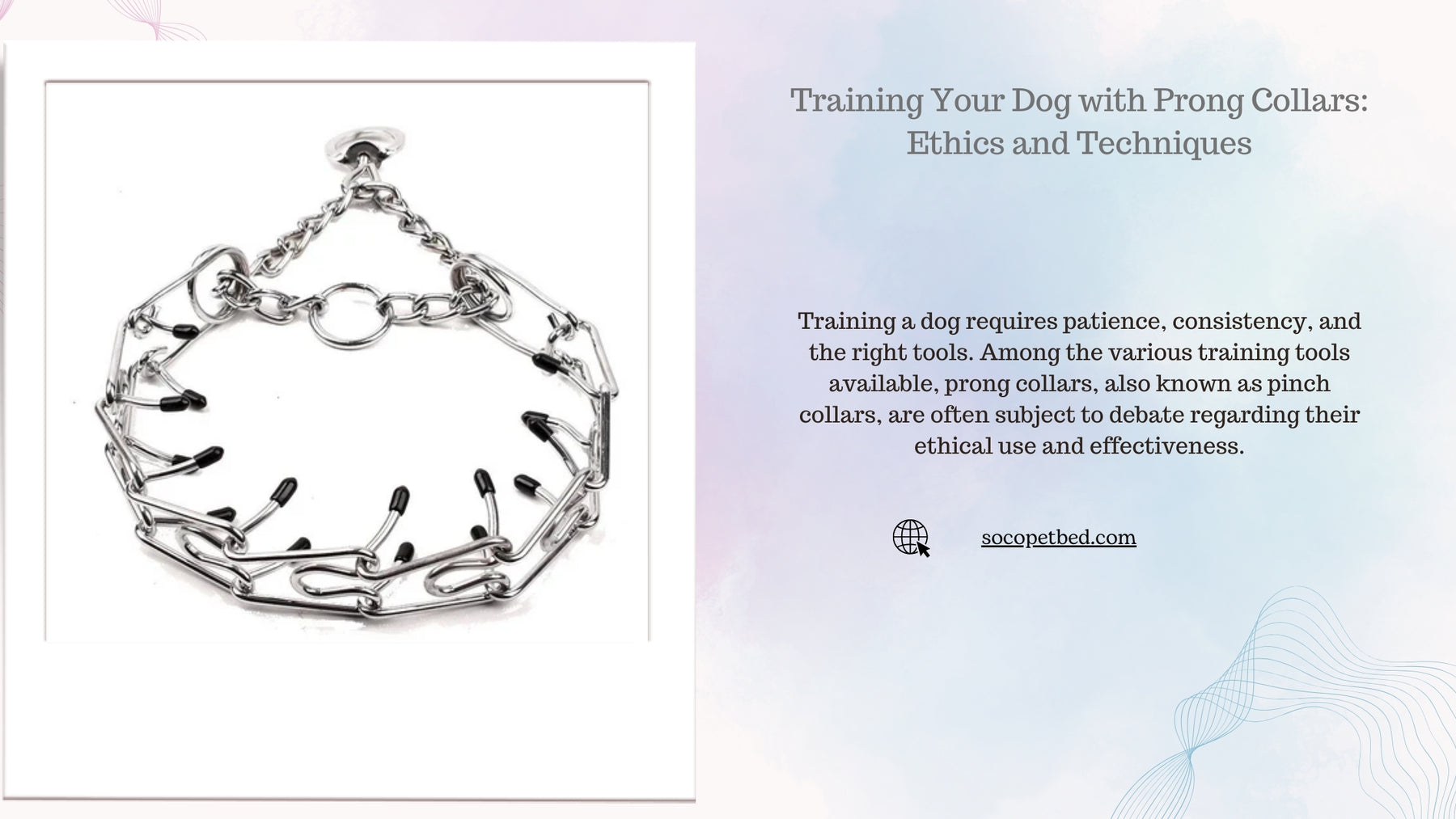 Training Your Dog with Prong Collars: Ethics and Techniques