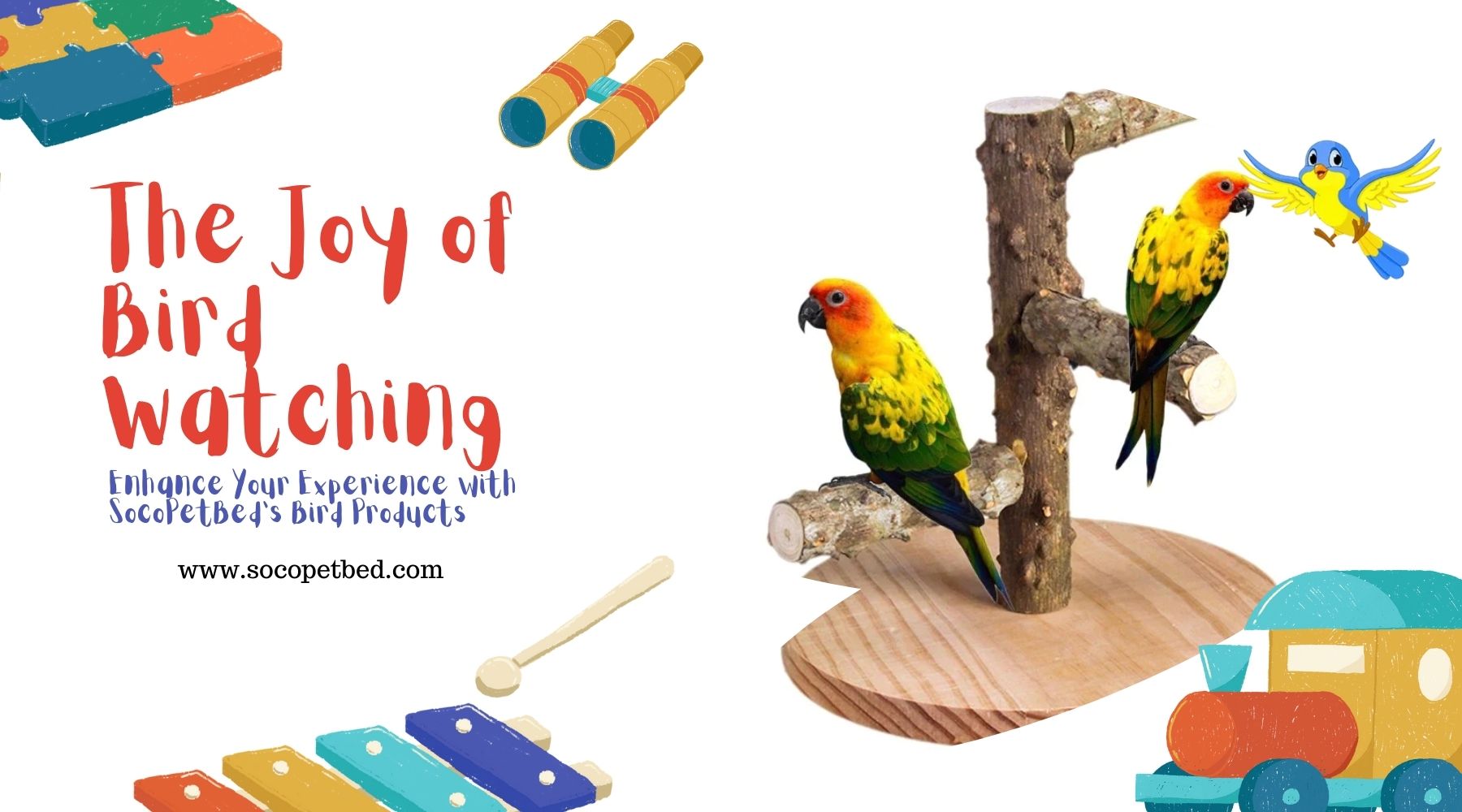 The Joy of Bird Watching: Enhance Your Experience with SocoPetBed’s Bird Products