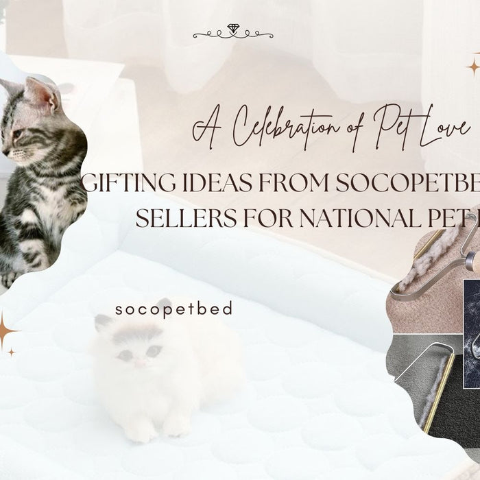 A Celebration of Pet Love: Gifting Ideas from SoCoPetBed’s Best Sellers for National Pet Day