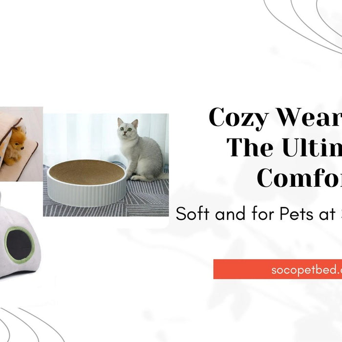 Cozy Wearables The Ultimate Comfort: Soft and for Pets at SoCoPetBed