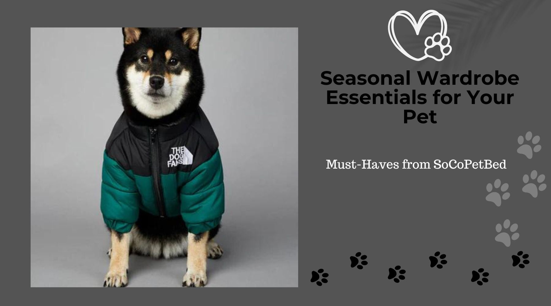 Seasonal Wardrobe Essentials for Your Pet: Must-Haves from SoCoPetBed
