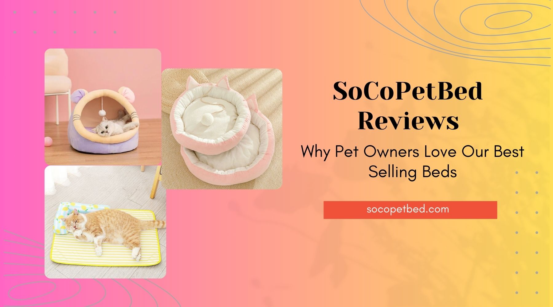 SoCoPetBed Reviews: Why Pet Owners Love Our Best-Selling Beds