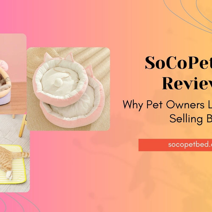 SoCoPetBed Reviews: Why Pet Owners Love Our Best-Selling Beds