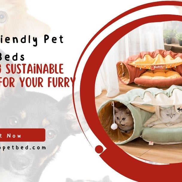Eco-Friendly Pet Beds: Choosing Sustainable Options for Your Furry Friends