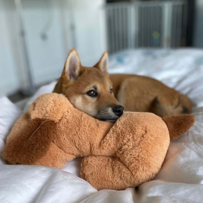 Comfy Plush Toy For Puppies