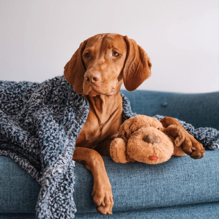 Comfy Plush Toy For Puppies