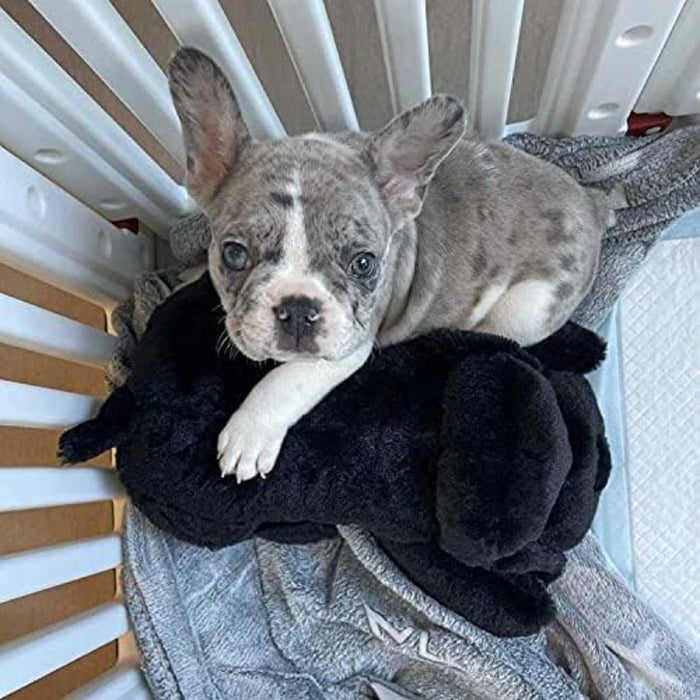 Comfy Plush Toy For Puppies