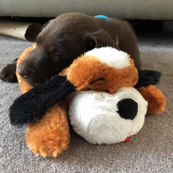 Comfy Plush Toy For Puppies