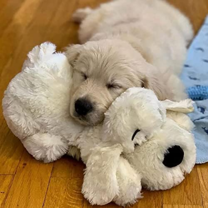 Comfy Plush Toy For Puppies