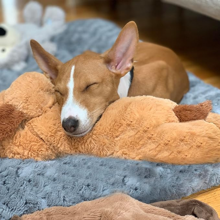 Comfy Plush Toy For Puppies