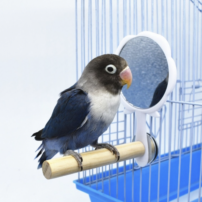 Wooden Pet Bird Toys with Mirror