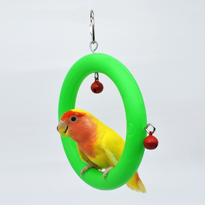 Bird Swing Toy
