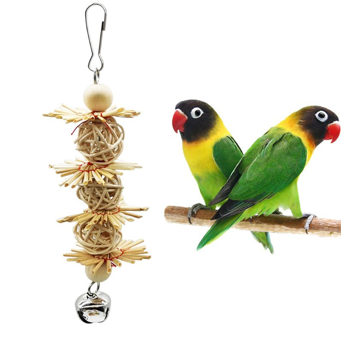 Bird Cage Chewing Toy
