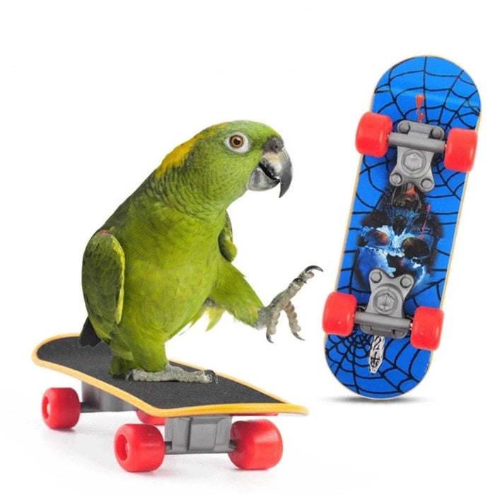 Parrot Training Skateboard