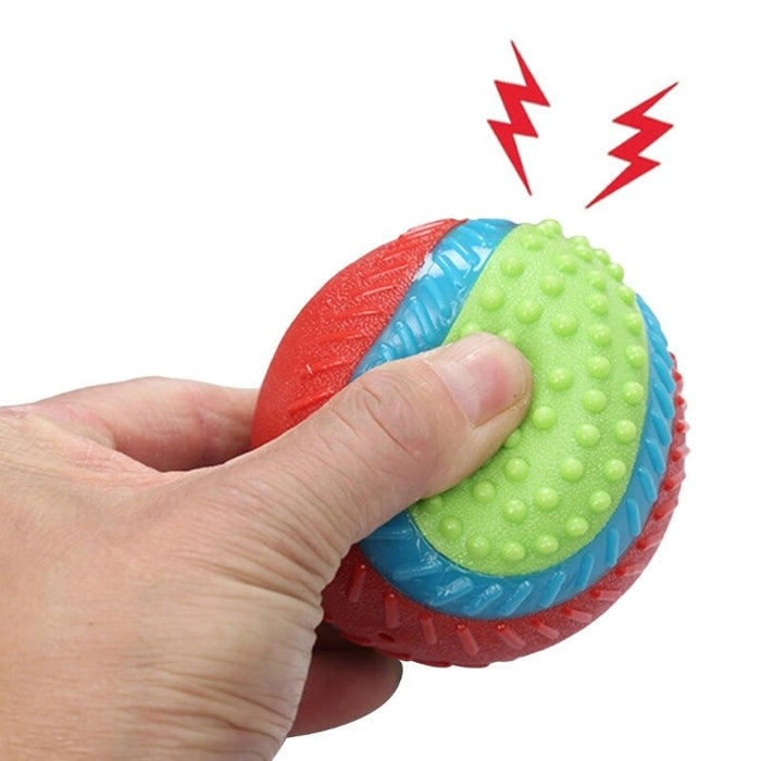 Dog Squeak Ball Toy