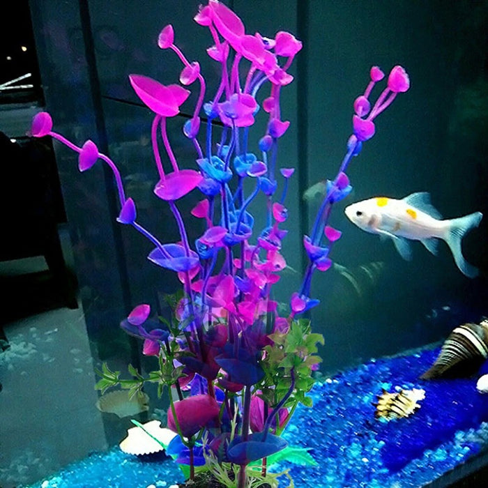 Large Aquatic Plant For Aquarium