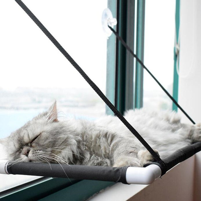 Cat Window Bed And Sofa
