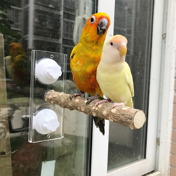 Pet Birds Parrot Perches Toys