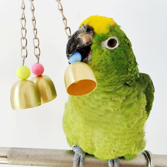 2 Pcs Wooden Parrot Toy