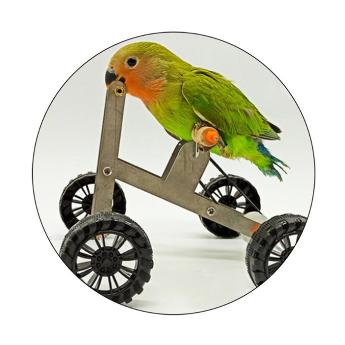 Metal Four-Wheeled Bird Bicycle